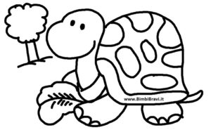 Disegno tartaruga
