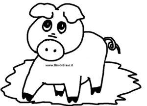 Disegno maiale